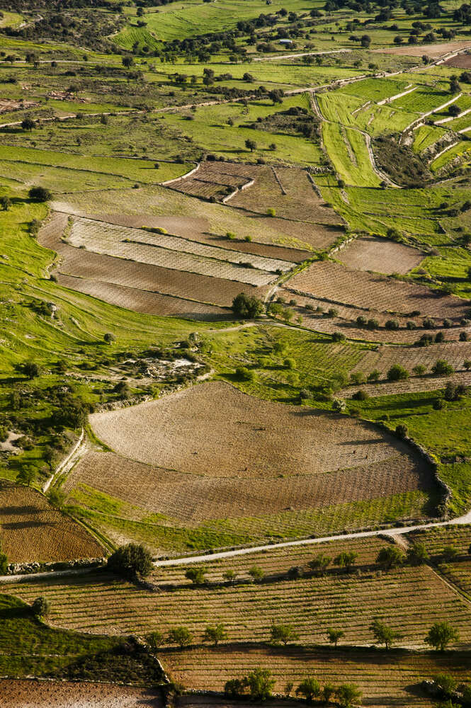 image-terrenos