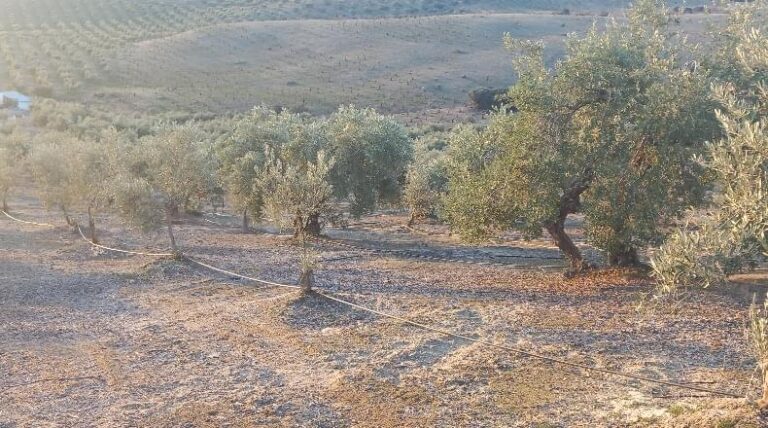 Parcela urbanizable en venta en la carretera del pantano de los bermejales, Alhama de Granada