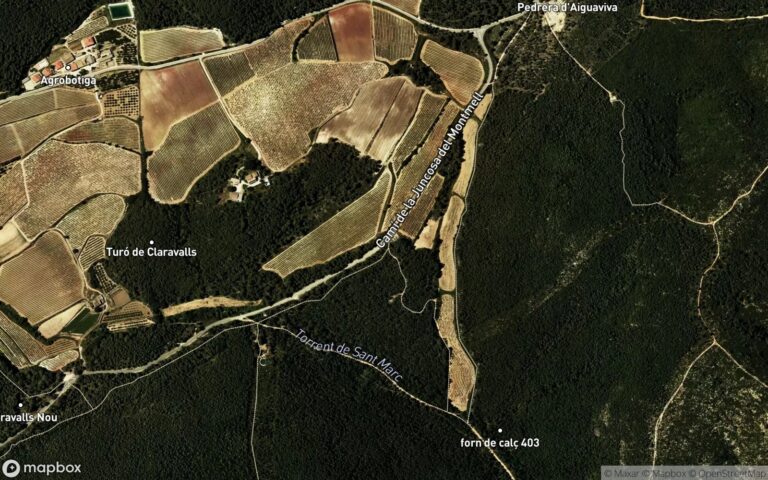 Vivienda en subasta en Juncosa del Montmell