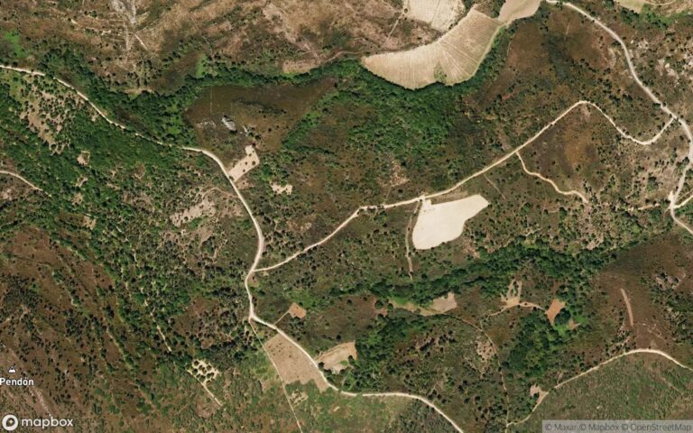 Matorral, al nombramiento de torgueira , en término de a portela, municipio de larouco, provincia de ourense, con una su