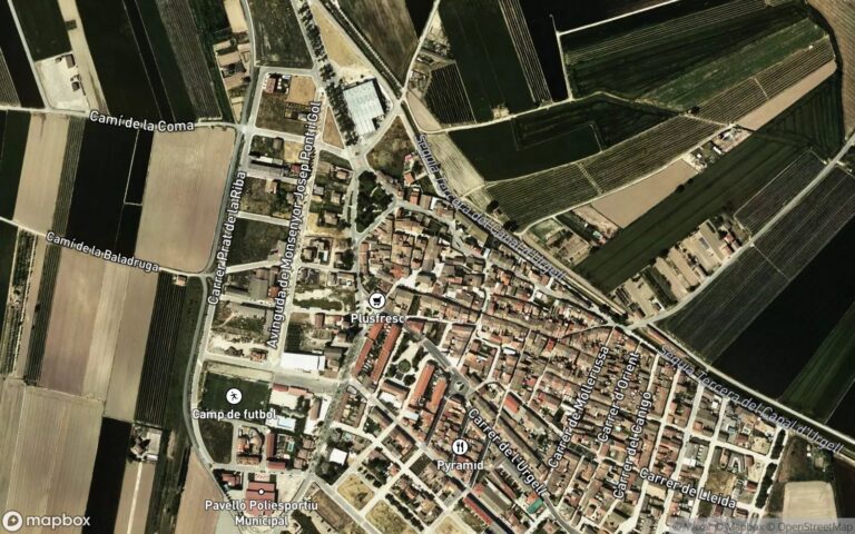 URBANA: ENTIDAD NUMERO SIETE. Local, sito en la planta baja del edificio sito en El Palau de Anglesola, calle Sant Blai,