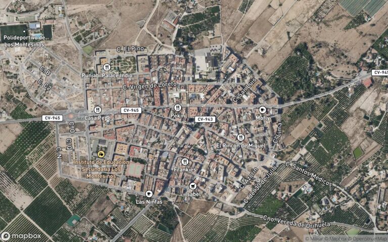Urbana. En término de los montesinos, con fachada a las calles campo de salinas, número 1-por donde tienesu acceso-medit