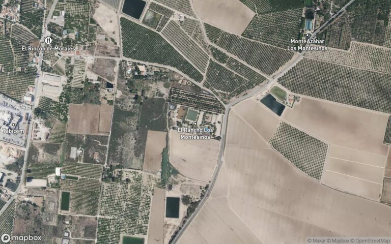 Nave en subasta en Los Montesinos