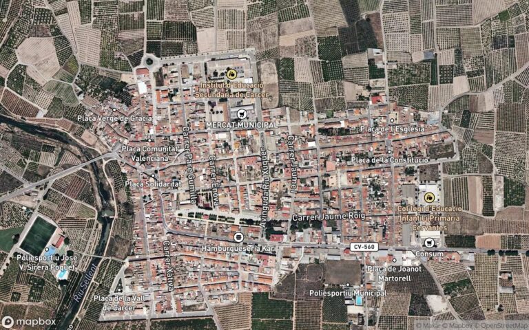 Terreno en subasta en Peraleda de la Mata