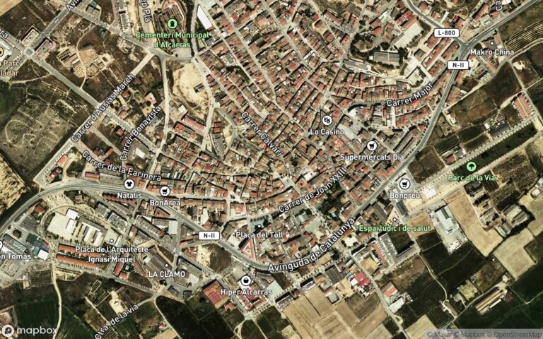 VIVIENDA UNIFAMILIAR, sita en Alcarràs, Passeig del Riu, número doce, se alza sobre el solar de su ubicación de superfic