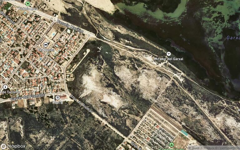 Aprovechamiento forestal de biomasa en Monte de Utilidad Pública Solanas de Riópar nº 21